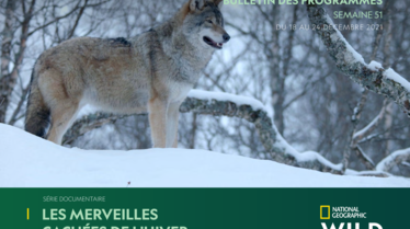 Bulletin National Geographic Wild S51.pdf