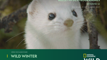 Bulletin National Geographic Wild Semaine 52.pdf