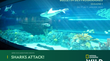 Bulletin National Geographic Wild S1.pdf