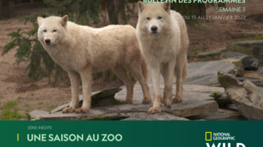 Bulletin National Geographic Wild Semaine 3.pdf