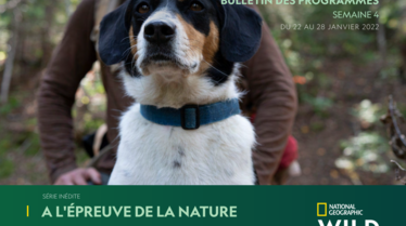 Bulletin National Geographic Wild S4.pdf