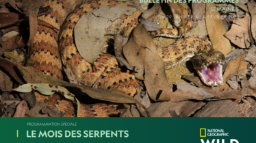 Bulletin National Geographic Wild Semaine 5.pdf