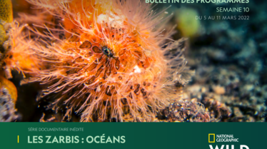 Bulletin Wild S10.pdf