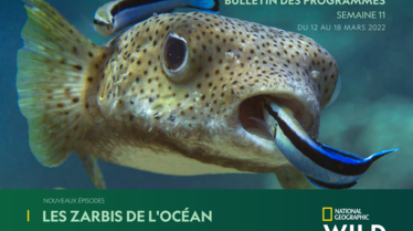 NATIONAL-GEOGRAPHIC-WILDS11.pdf