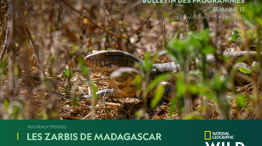 NATIONAL-GEOGRAPHIC-WILDS13.pdf