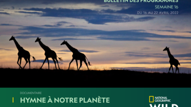 Bulletin National Geographic Wild semaine 16.pdf