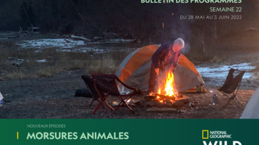 Bulletin National Geographic Wild S22.pdf