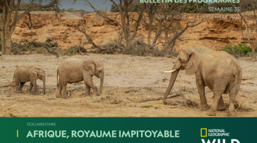 NATIONAL-GEOGRAPHIC-WILDS35_V1 (1).pdf