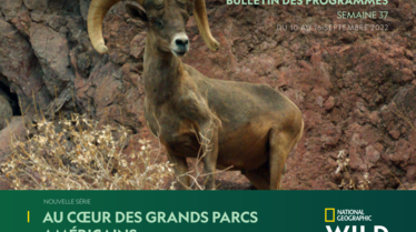 NATIONAL-GEOGRAPHIC-WILDS37