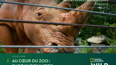 Bulletin National Geographic Wild S38.pdf