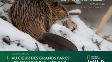 Bulletin NGW s40.pdf