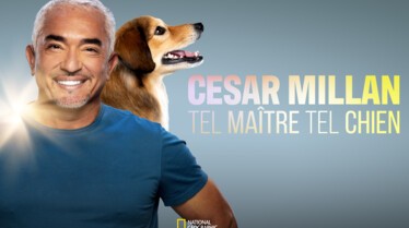 NGW_CESAR-MILLAN-TEL-MAITRE-TEL-CHIEN_KEY-ART-FULL.jpg