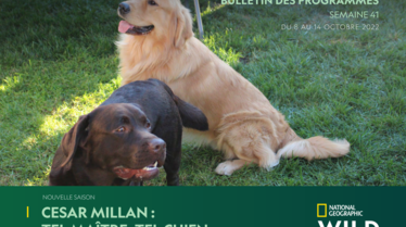 Bulletin National Geographic Wild semaine 41.pdf