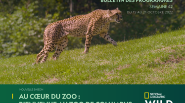 Bulletin national geographic wild s42.pdf