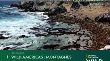 Bulletin National Geographic Wild semaine 43.pdf