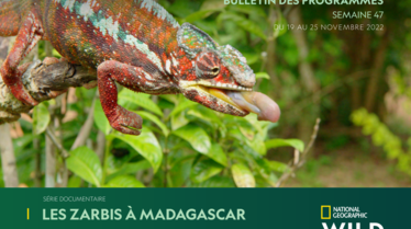 Bulletin National Geographic Wild semaine 47.pdf