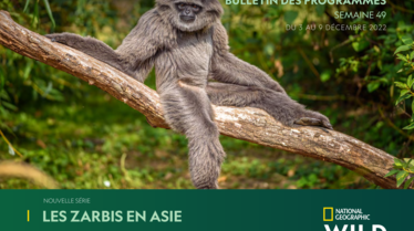 Bulletin National Geographic Wild semaine 49.pdf