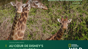 Bulletin National Geographic Wild Semaine 4.pdf