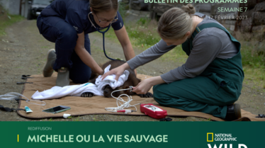 Bulletin National Geographic  Wildsemaine 7.pdf