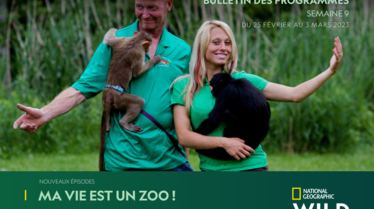 Bulletin National Geographic Wild S9.pdf