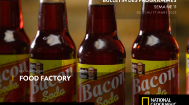 Bulletin National Geographic S11.pdf