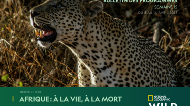 Bulletin National Geographic Wild S15.pdf