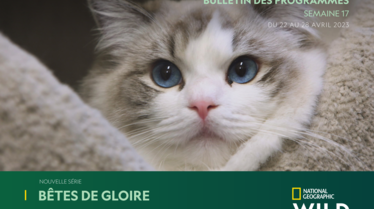 Bulletin National Geographic Wild S17.pdf
