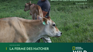 Bulletin National Geographic Wild Semaine 19.pdf