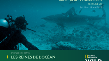 Bulletin National Geographic Wild Semaine 20.pdf