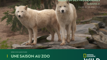 Bulletin National Geographic Wild Semaine 21.pdf