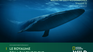 Bulletin National Geographic Wild Semaine 23.pdf