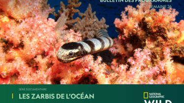 Bulletin National Geographic Wild Semaine 26.pdf