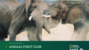 Bulletin National Geographic Wild Semaine 27.pdf