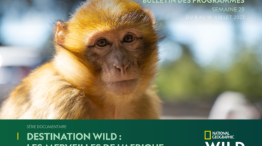 Bulletin National Geographic Wild Semaine 28.pdf
