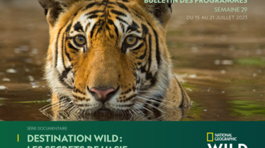 Bulletin National Geographic Wild Semaine 29.pdf