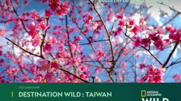 Bulletin National Geographic Wild Semaine 34.pdf