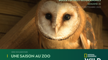 Bulletin National Geographic Wild Semaine 35.pdf