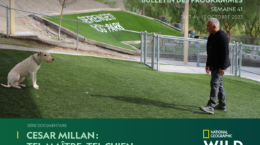 Bulletin National Geographic Wild Semaine 41.pdf