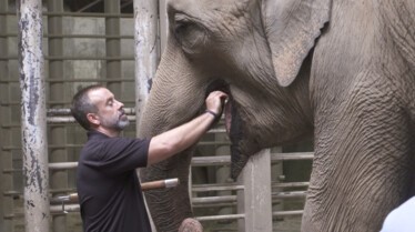 Au coeur du zoo