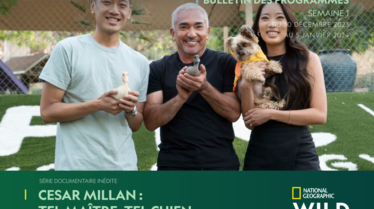 Bulletin NGW S1 2024.pdf