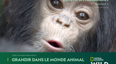 Bulletin NGW S2.pdf