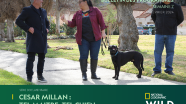 Bulletin NGW S7.pdf