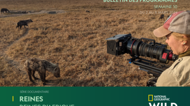 Bulletin NGW S10.pdf