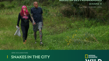 Bulletin NGW S11.pdf