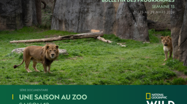 Bulletin NGW S13.pdf