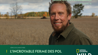 Bulletin NGW S16.pdf