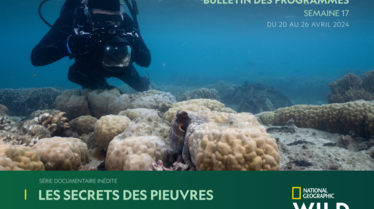 Bulletin NGW S17.pdf