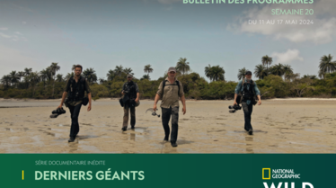 Bulletins NGW S20.pdf