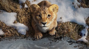 MUFASA : LE ROI LION