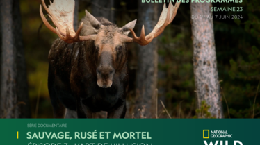Bulletin NGW S23.pdf